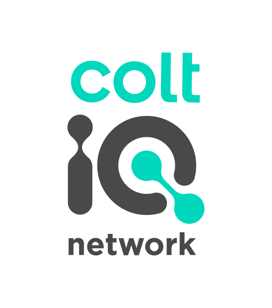 Colt-IQ网络Logo2拷贝
